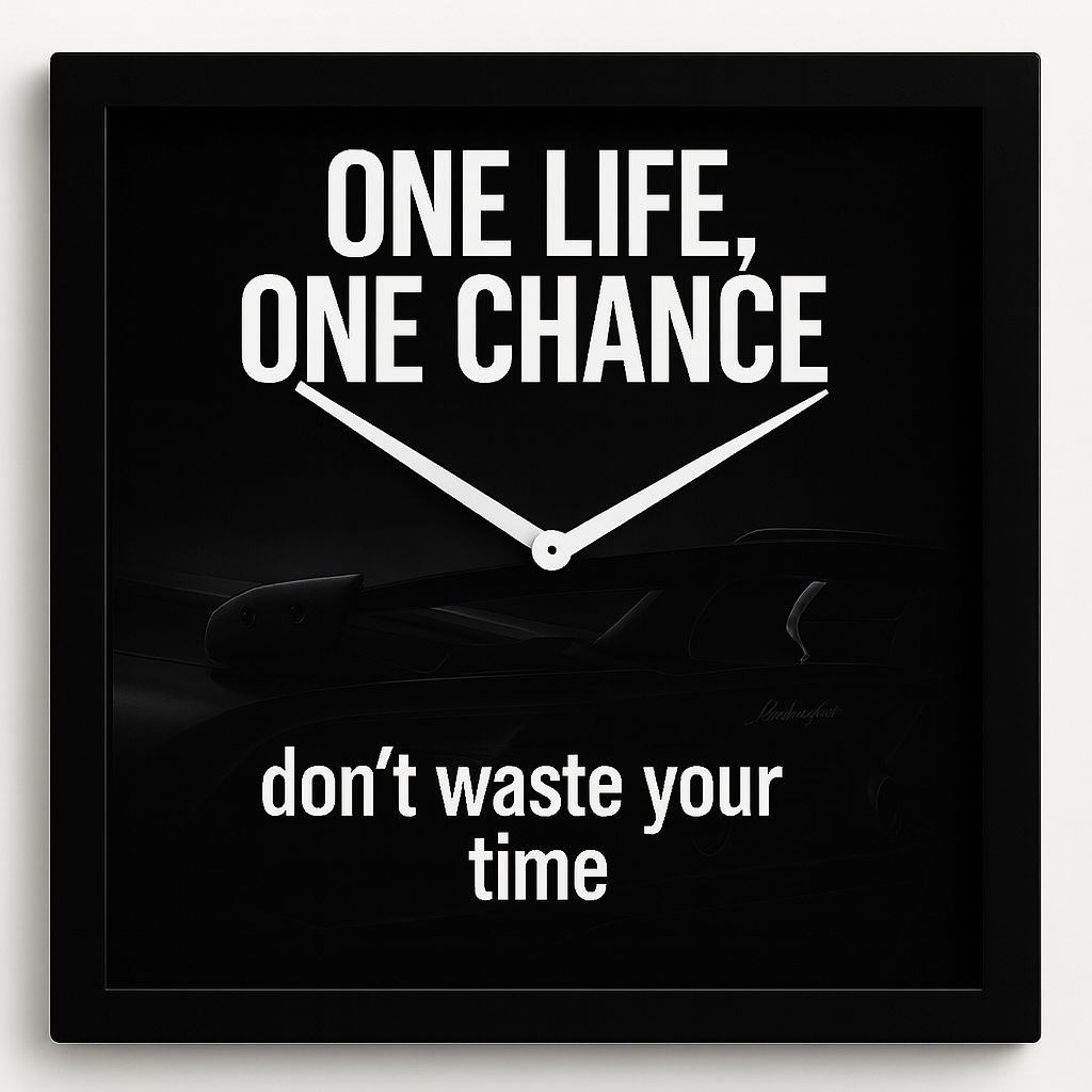 One Life, One Chance